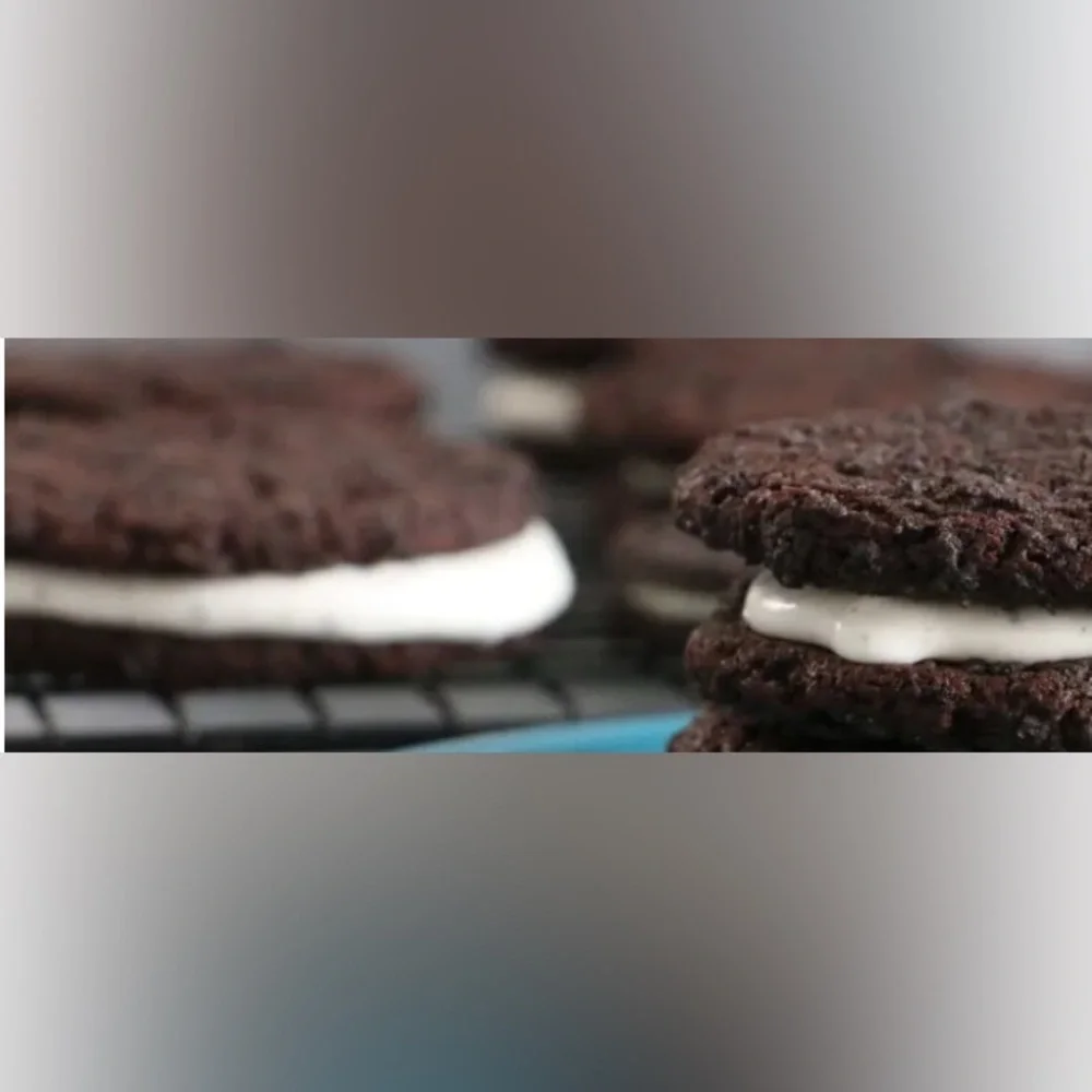 New Big Sandwich Cookie Silicon Mold